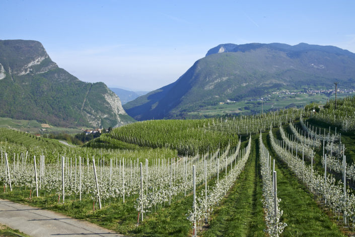val di non